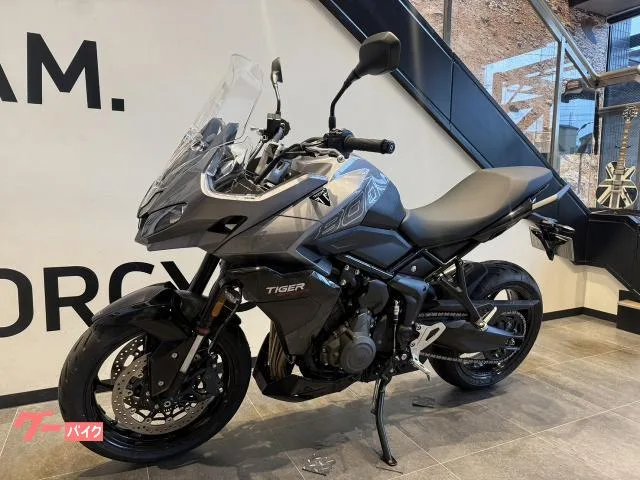 TRIUMPH 800 2026 — миниатюра 4