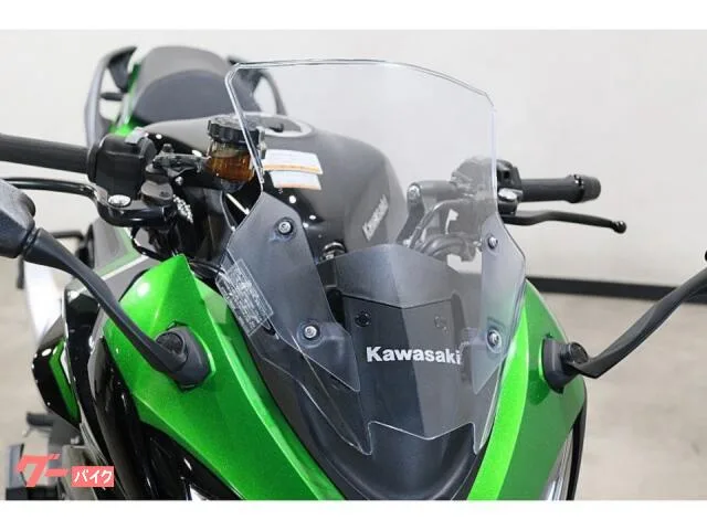Kawasaki Ninja 1000 SX 2023 ETCABSKTRCGP 2023 — миниатюра 2