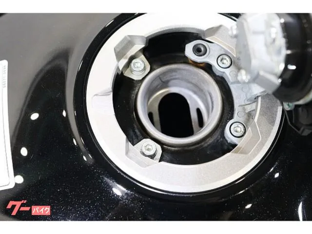 Kawasaki Ninja 1000 SX 2023 ETCABSKTRCGP 2023 — миниатюра 3