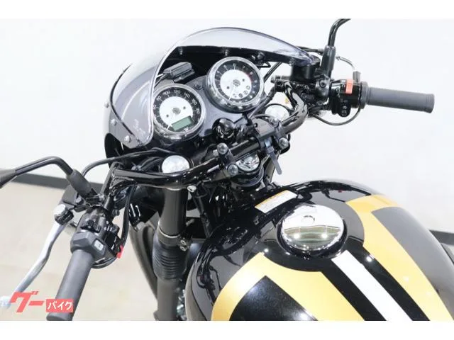 Kawasaki W800 2022 ETCABSEGUSBGP 2022 — миниатюра 3