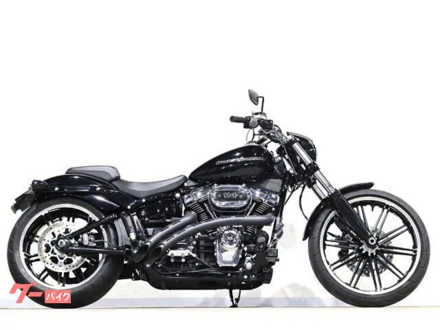 HARLEY-DAVIDSON FXBRS 114 BASSANI 260 2022 — миниатюра 5