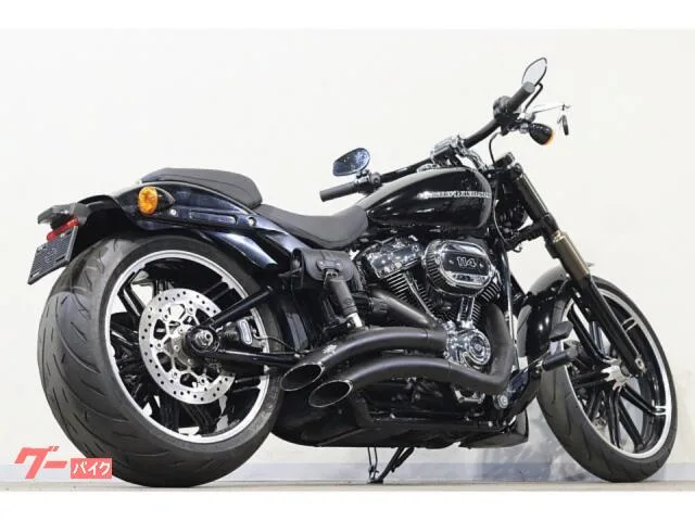 HARLEY-DAVIDSON FXBRS 114 VanceHines 260mm 2022 — миниатюра 5