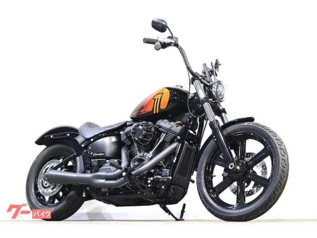 HARLEY-DAVIDSON FXBBS 114 Bassani ArlenNess KIJIMA 2022 — фото 1, купить с доставкой в Москву
