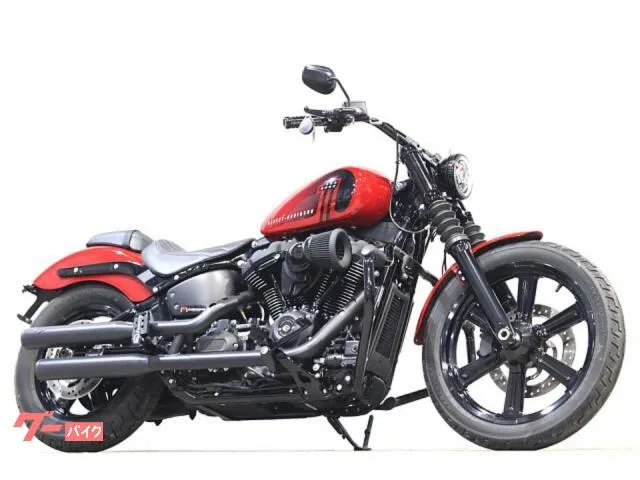 HARLEY-DAVIDSON FXBBS 114 Vance ArlenNess 2022 — фото 1, купить с доставкой в Москву