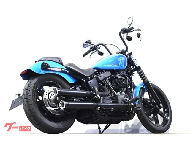 HARLEY-DAVIDSON FXBBS 114 COBRA RSD SUNDANCE 2022 — миниатюра 5