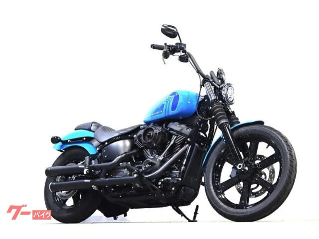 HARLEY-DAVIDSON FXBBS 114 COBRA RSD SUNDANCE 2022 — фото 1, купить с доставкой в Москву