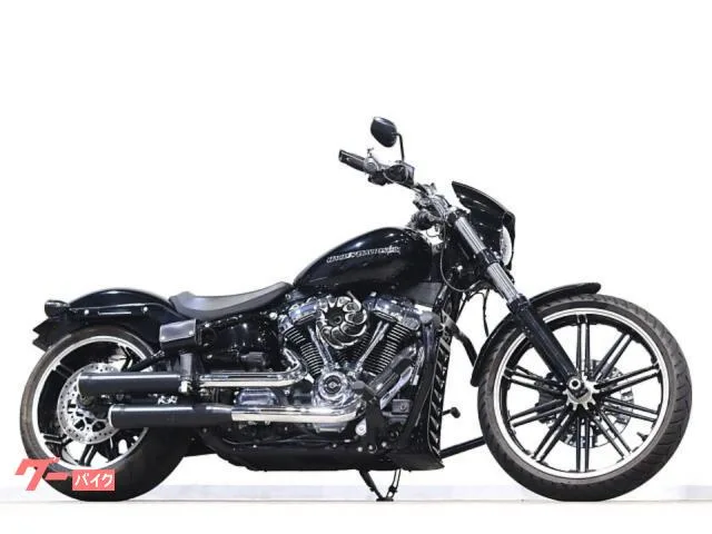 HARLEY-DAVIDSON FXBRS 114 COBRA NESS 260mm 2022 — фото 1, купить с доставкой в Москву