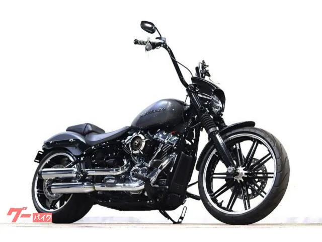 HARLEY-DAVIDSON FXBRS 114 2022y RSD ETC 2022 — фото 1, купить с доставкой в Москву