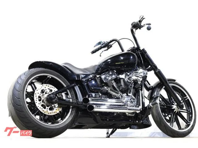 HARLEY-DAVIDSON FXBRS 114 FP4 Freedom SE Thunderbike 2022 — миниатюра 5