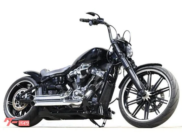 HARLEY-DAVIDSON FXBRS 114 FP4 Freedom SE Thunderbike 2022 — фото 1, купить с доставкой в Москву
