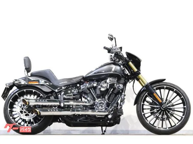 HARLEY-DAVIDSON FXBR MOTORSTAGE ArlenNess Saddlemen 2023 — миниатюра 3