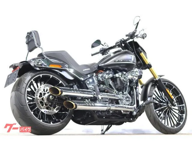 HARLEY-DAVIDSON FXBR MOTORSTAGE ArlenNess Saddlemen 2023 — миниатюра 4