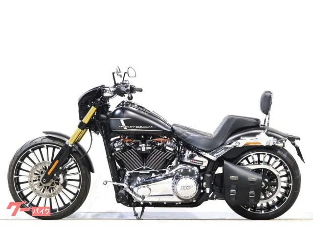 HARLEY-DAVIDSON FXBR MOTORSTAGE ArlenNess Saddlemen 2023 — миниатюра 5