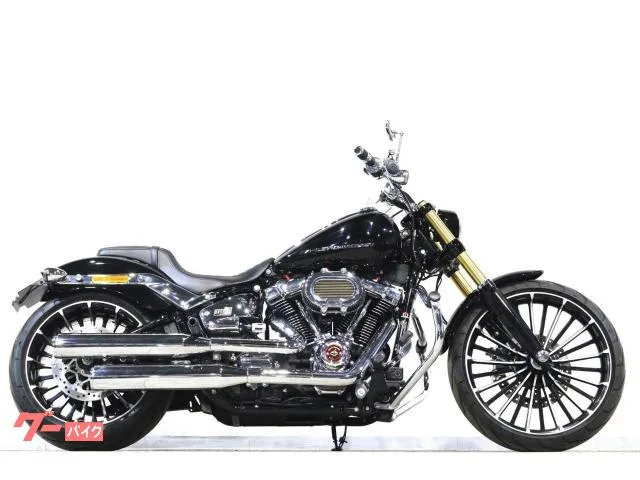 HARLEY-DAVIDSON FXBR SE ArlenNess 2023 — миниатюра 3