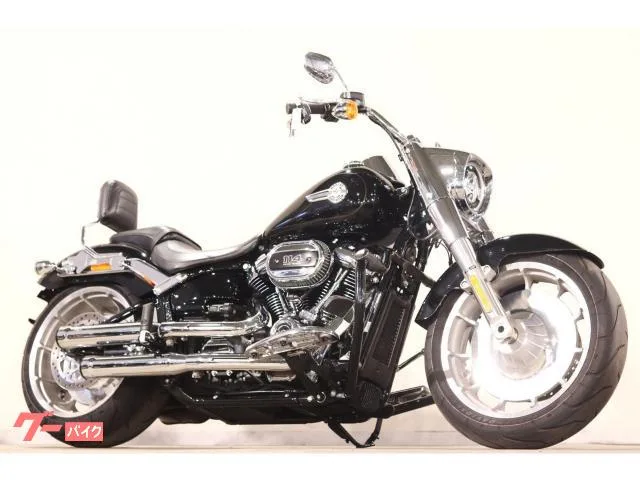HARLEY-DAVIDSON FLFBS 114 T-MAN COBRA SUNDANCE 2023 — фото 1, купить с доставкой в Москву