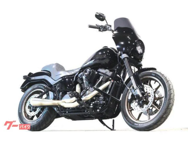 HARLEY-DAVIDSON FXLRS S BASSANI SS FP4 ETC 2022 — фото 1, купить с доставкой в Москву