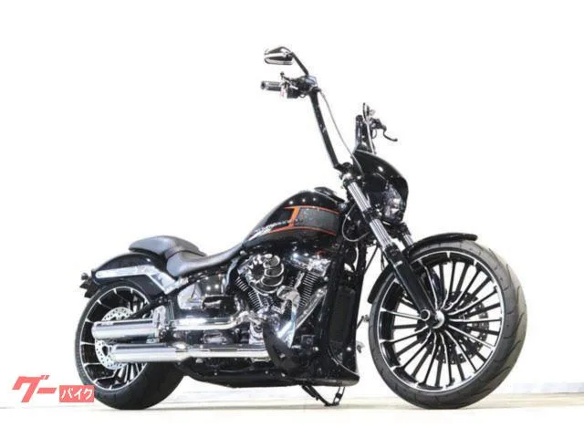 HARLEY-DAVIDSON FXBR MOTORSTAGE ArlenNess TRIJYA 2023 — фото 1, купить с доставкой в Москву