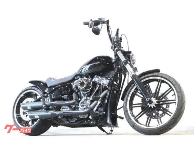 HARLEY-DAVIDSON FXBR TRIJYA ARLENNESS 2022 — фото 1, купить с доставкой в Москву