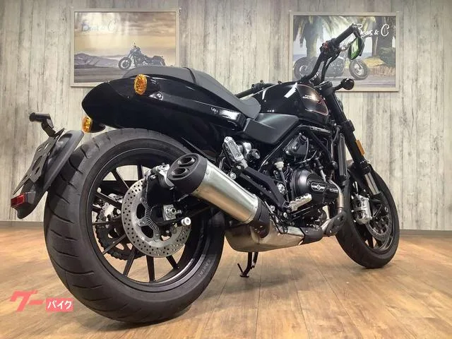 HARLEY-DAVIDSON X500 2024 — миниатюра 3