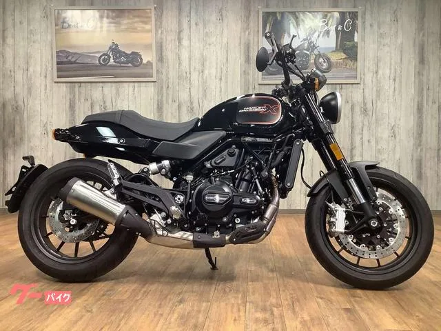 HARLEY-DAVIDSON X500 2024 — миниатюра 4