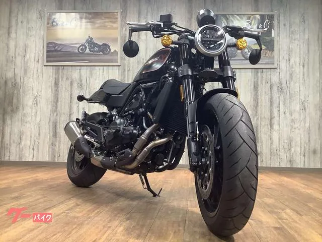HARLEY-DAVIDSON X500 2024 — миниатюра 5