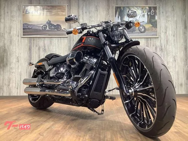 HARLEY-DAVIDSON FXBR 2023 — миниатюра 5