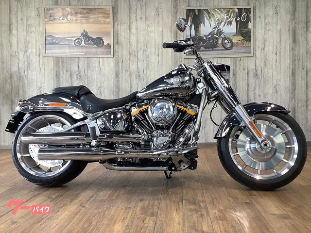 HARLEY-DAVIDSON FLSTFI 2025 — миниатюра 4