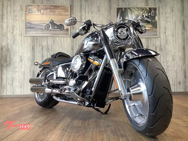HARLEY-DAVIDSON FLSTFI 2025 — миниатюра 5