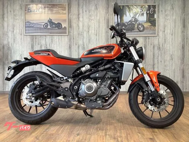 HARLEY-DAVIDSON X350 USB 2024 — миниатюра 4