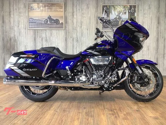 HARLEY-DAVIDSON CVO FLTRXSE 2025 — миниатюра 4