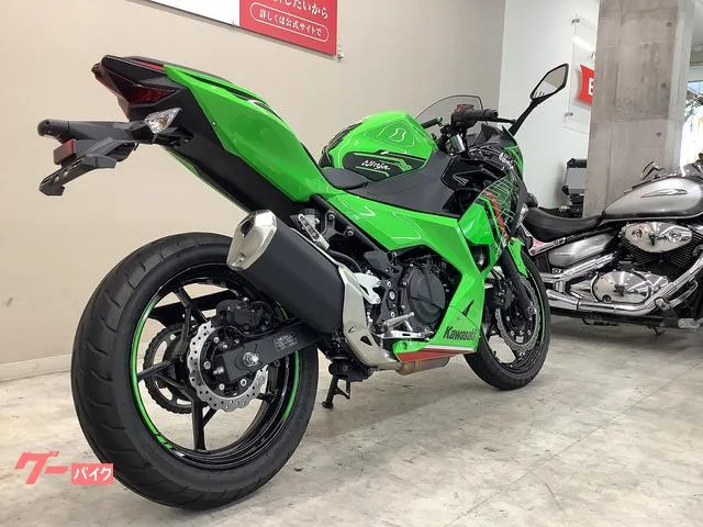 Kawasaki Ninja 250 EX250Y 2024 — миниатюра 5