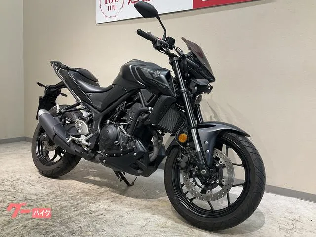 Yamaha MT-25 2022 — миниатюра 5