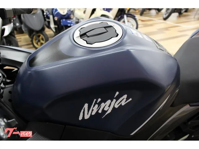 Kawasaki Ninja 400 2022 — миниатюра 3