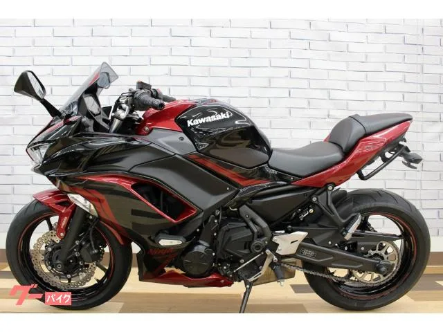 Kawasaki Ninja 650 ETC2.0 USB2 2022 — миниатюра 5