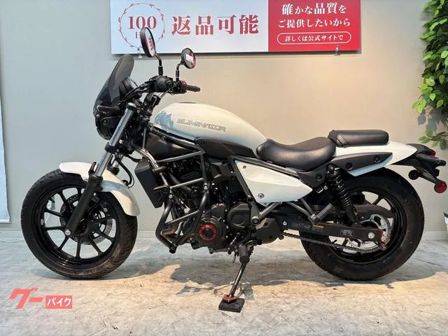 Kawasaki 400 USB 2024 — миниатюра 5