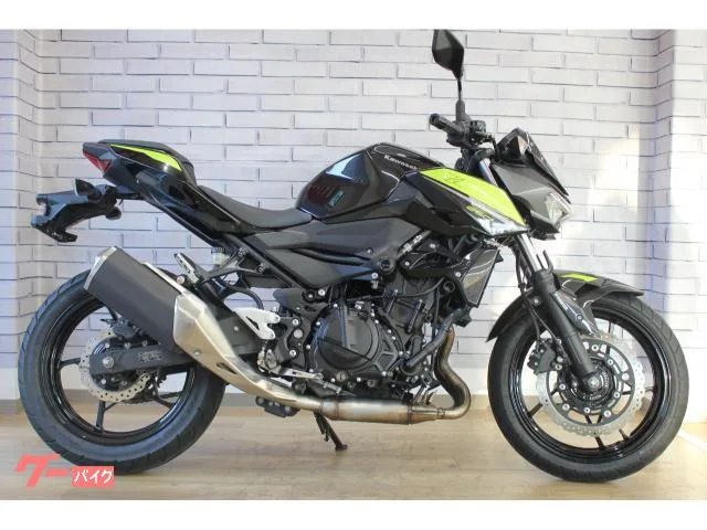 Kawasaki Z250 2022 — миниатюра 2