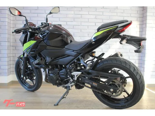 Kawasaki Z250 2022 — миниатюра 3