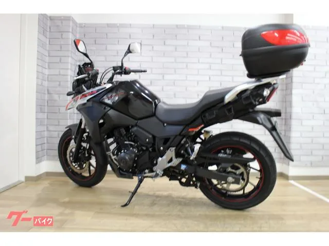 Suzuki V- 250 2022 — миниатюра 3