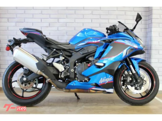 Kawasaki Ninja ZX-4R SE 2024 — миниатюра 2