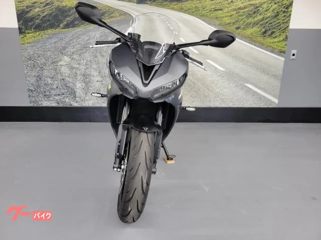 TRIUMPH 660 2024 — миниатюра 2