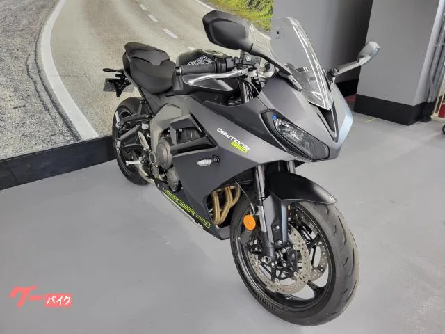 TRIUMPH 660 2024 — миниатюра 3