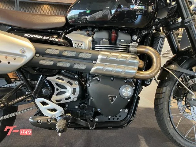 TRIUMPH 1200X 2025 — миниатюра 3