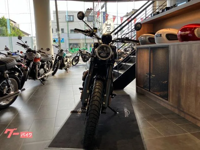 TRIUMPH 1200X 2025 — миниатюра 4