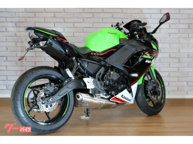 Kawasaki Ninja 650 2022 — миниатюра 4