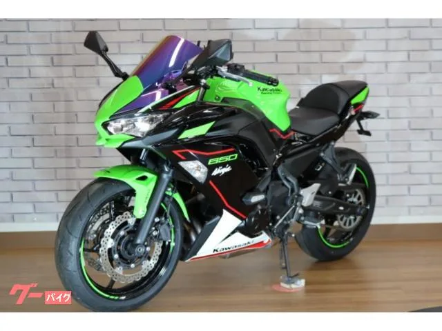 Kawasaki Ninja 650 2022 — миниатюра 5