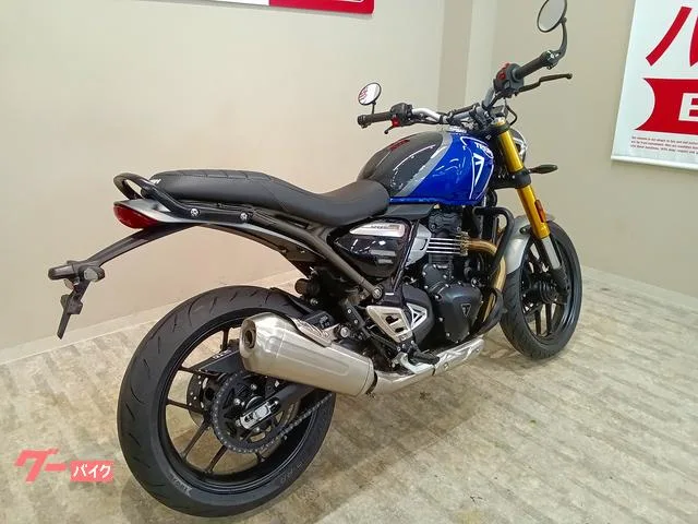 TRIUMPH 400/1/ 2024 — миниатюра 5