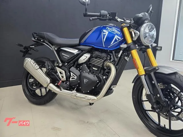 TRIUMPH 400 2024 — миниатюра 4