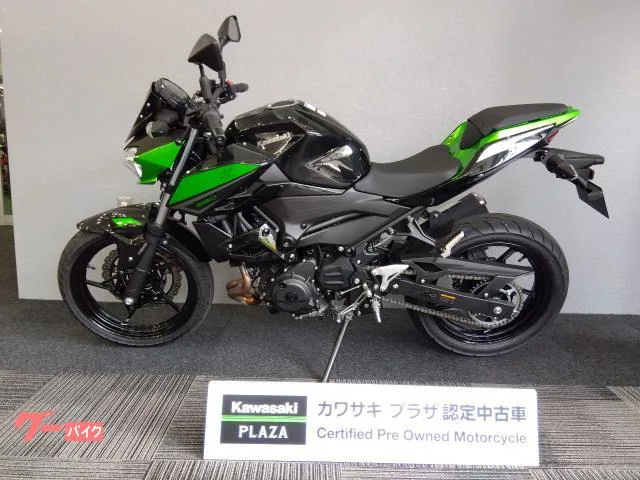 Kawasaki Z250 ETC2.0 2023 — миниатюра 2