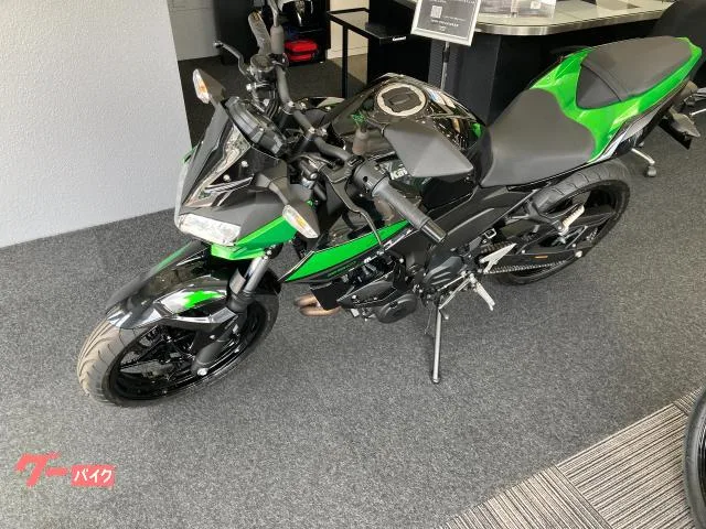 Kawasaki Z250 ETC2.0 2023 — миниатюра 3