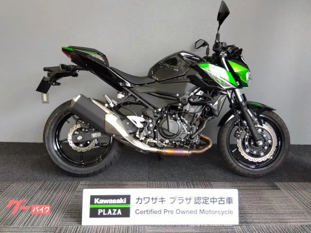 Kawasaki Z250 ETC2.0 2023 — фото 1, купить с доставкой в Москву